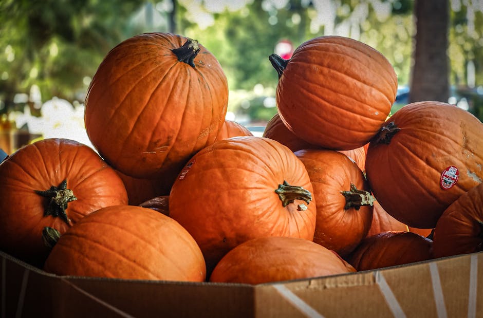 債券怎麼買:新手入門指南