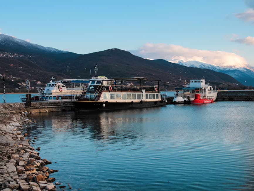 加拿大救生艇計劃的案例解析