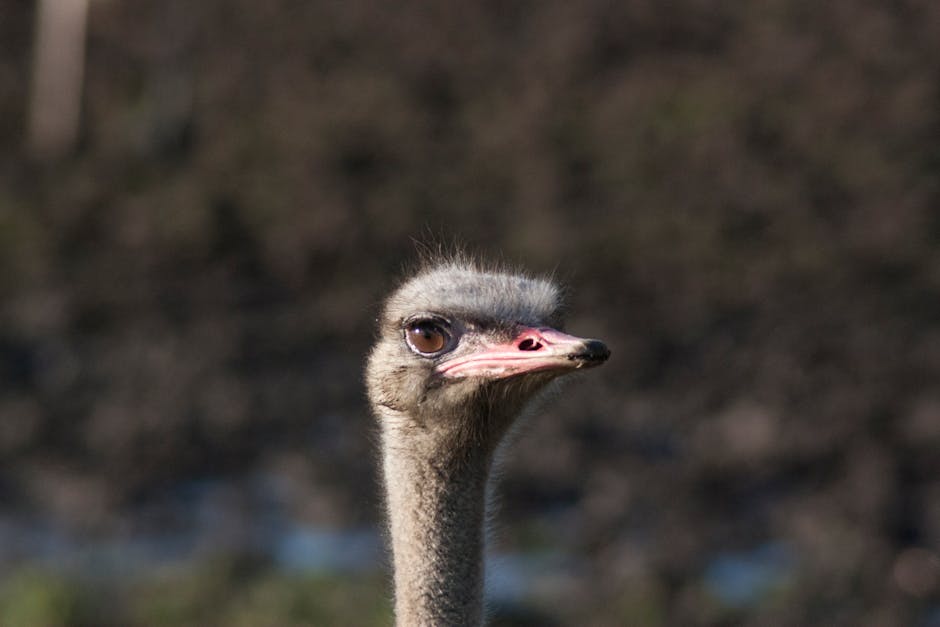 雙下巴成因解析與改善指導